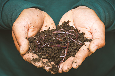 Hands holding dirt with earthworms to show cycle replicated when you buy Finesse GVH