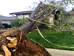 Storm damage in Barnegat requires tree service in Ocean County professionals